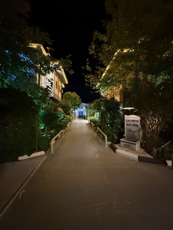 Bahçe yolu, gece